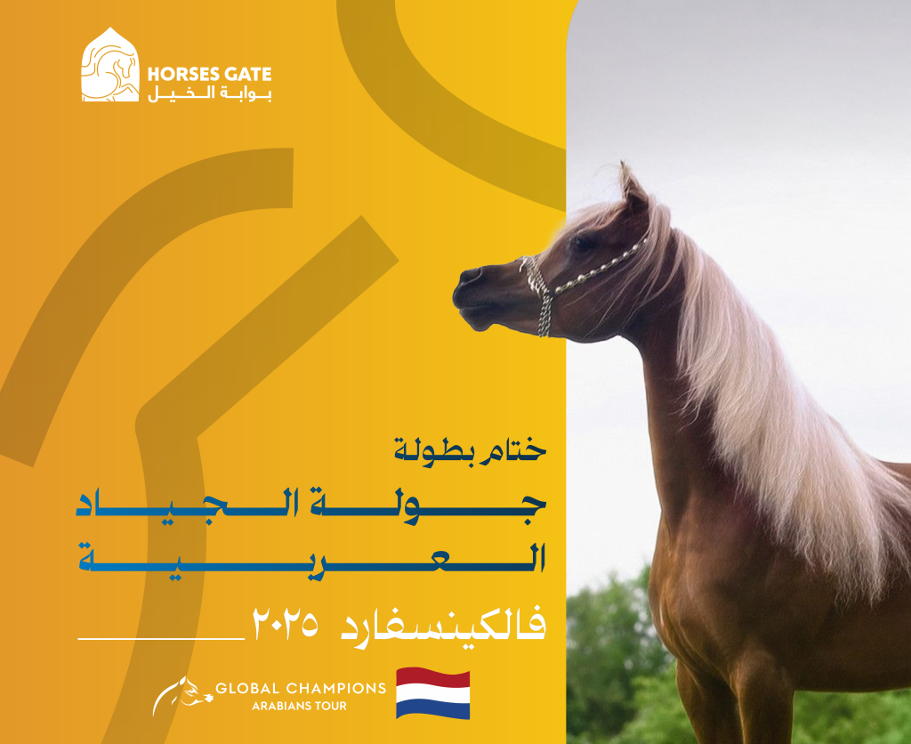 النتائج النهائية لبطولة جولة الجياد العربية فالكينسفارد 2025