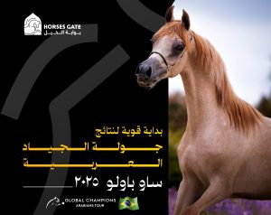 بداية قوية لنتائج جولة الجياد العربية ساو باولو البرازيل 2025