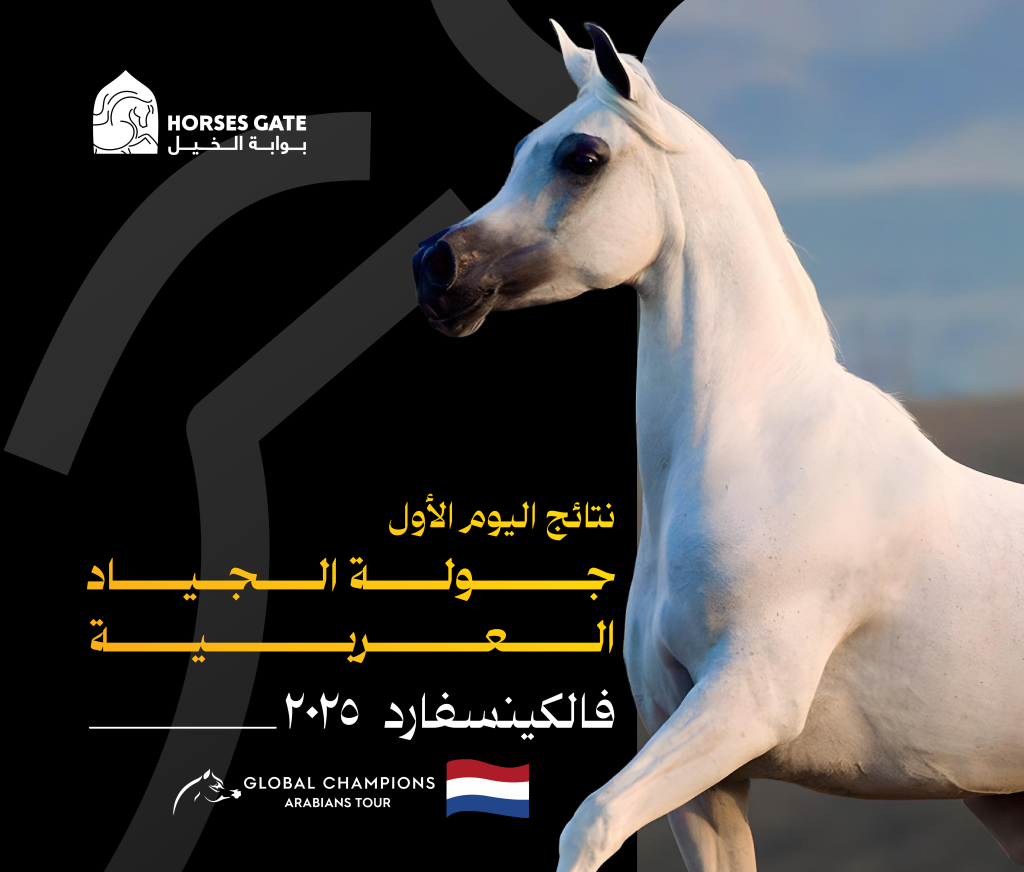 نتائج اليوم الأول لجولة الجياد العربية 2025 – فالكينسفارد