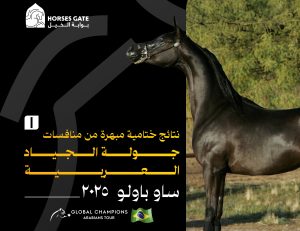 نتائج ختامية مبهرة من منافسات جولة الجياد العربية ساو باولو 2025