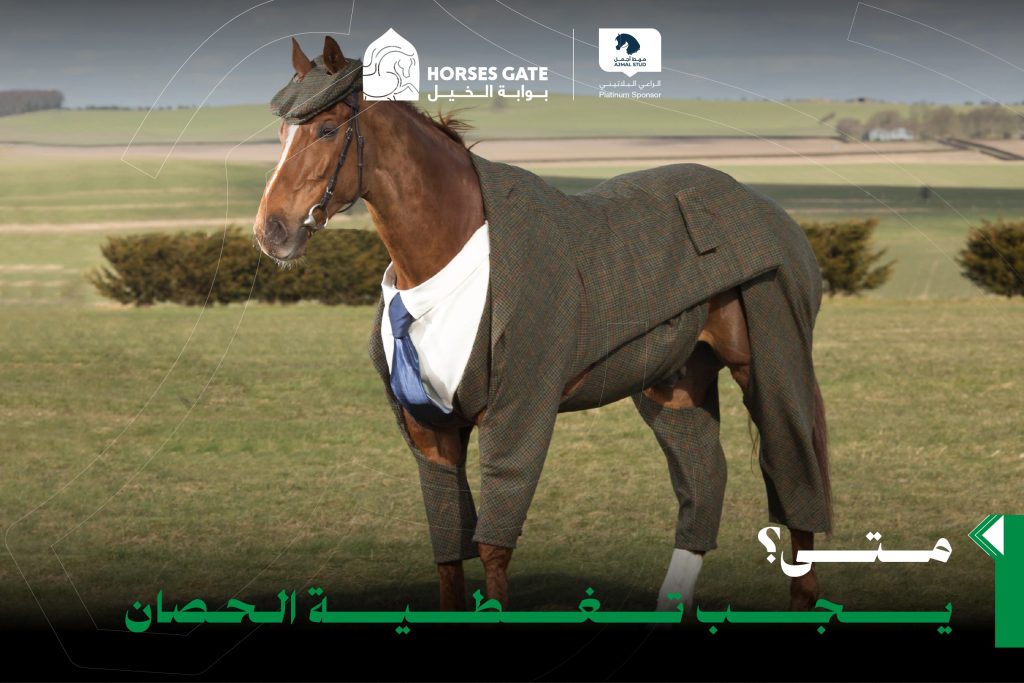 متى يجب تغطية الحصان