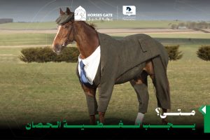 متى يجب تغطية الحصان