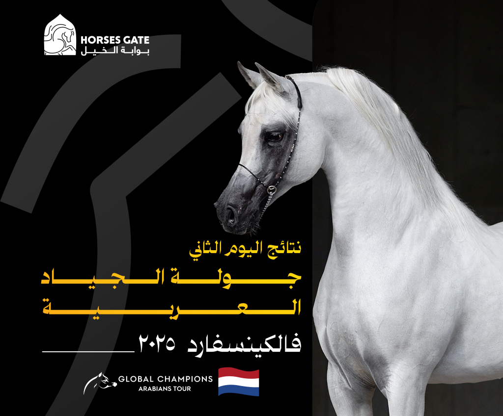 نتائج اليوم الثاني جولة الجياد العربية فالكينسفارد 2025