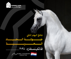 نتائج اليوم الثاني جولة الجياد العربية فالكينسفارد 2025